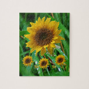 Sonnenblume Jigsaw Puzzle