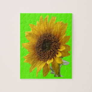 Sonnenblume Jigsaw Puzzle