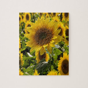 Sonnenblume Jigsaw Puzzle