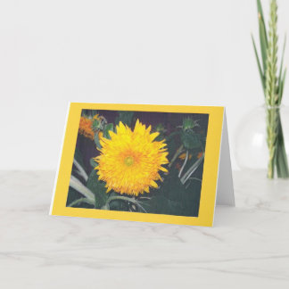 SONNENBLUME KARTE