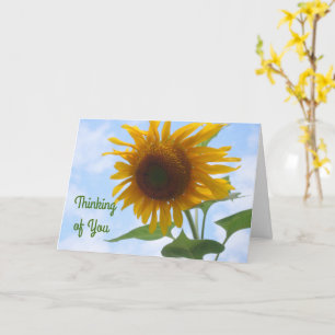 Sonnenblume Karte