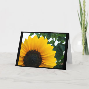 Sonnenblume Karte