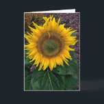 Sonnenblume Karte<br><div class="desc">Eine Sonnenblume auf Stiel mit seinem Blätter</div>
