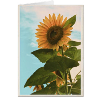 Sonnenblume-Karte - freier Raum