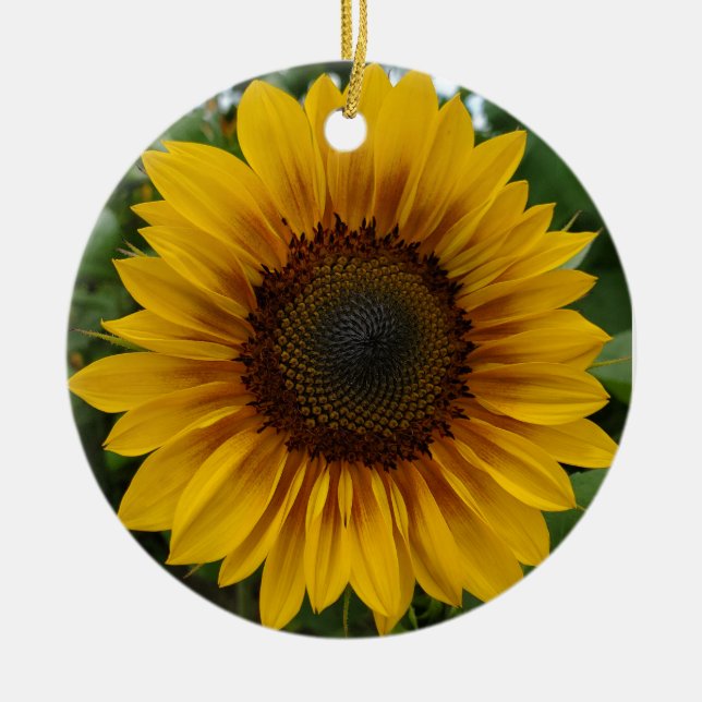 Sonnenblume Keramik Ornament (Vorne)