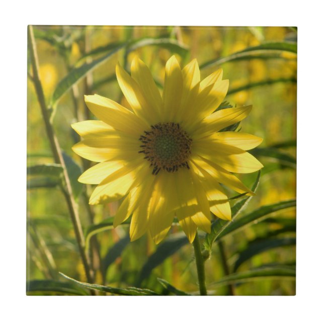 Sonnenblume Keramik Tile Fliese (Vorderseite)