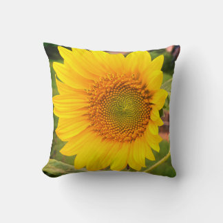 Sonnenblume Kissen