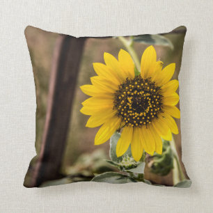 Sonnenblume Kissen