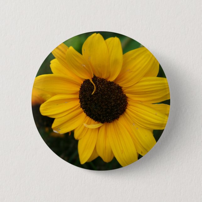 Sonnenblume-Knopf Button (Vorderseite)