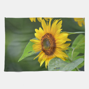 Sonnenblume Küchentuch