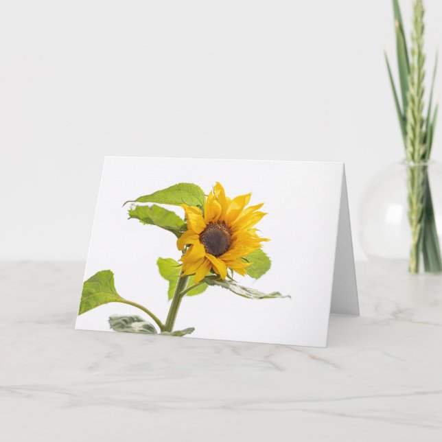 Sonnenblume küsst den Himmel Karte (Vorderseite)
