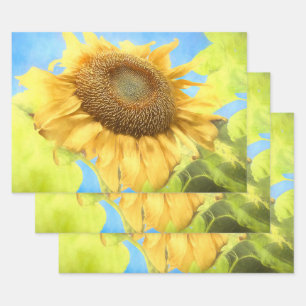 Sonnenblume Land Rustikales Gelbes Wasser Geschenkpapier Set