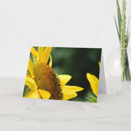Sonnenblume-leere Gruß-Karte Karte