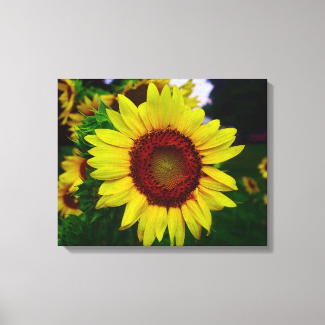 Sonnenblume Leinwanddruck (Vorderseite)