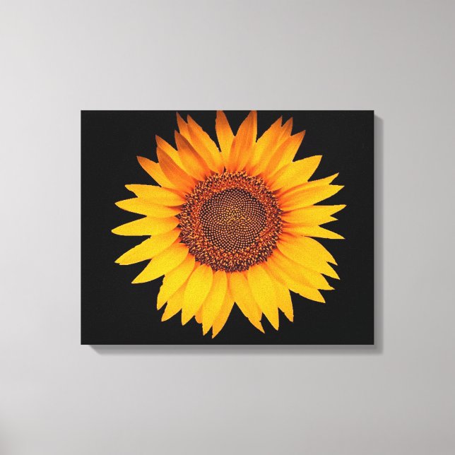 Sonnenblume Leinwanddruck (Vorderseite)