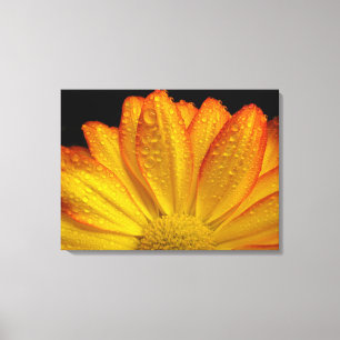 Sonnenblume Leinwanddruck