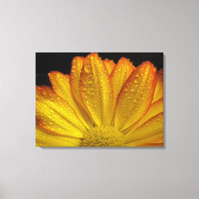Sonnenblume Leinwanddruck (Vorderseite)