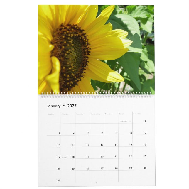 Sonnenblume-Liebe Kalender (Jan 2027)