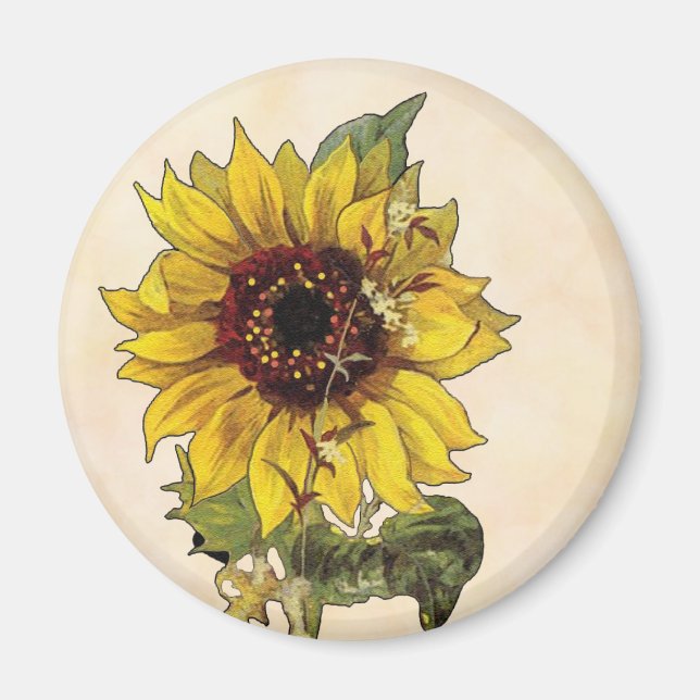 Sonnenblume Magnet (Vorne)