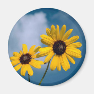 Sonnenblume Magnet