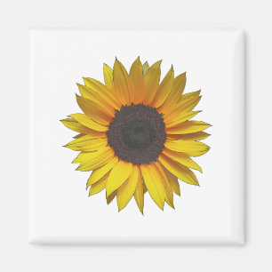 Sonnenblume Magnet