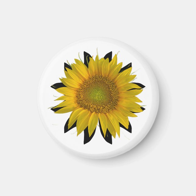 Sonnenblume Magnet (Vorne)