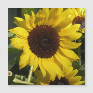 Sonnenblume Magnetkarte