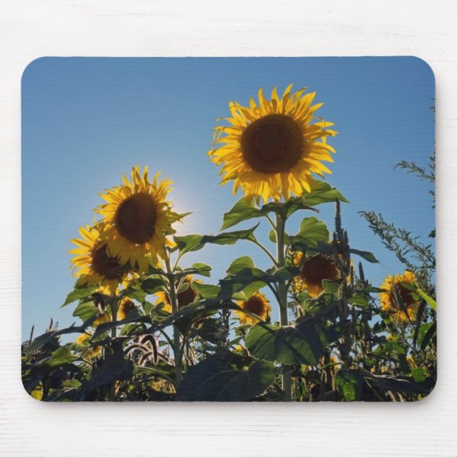 Sonnenblume-Mausunterlage Mousepad (Vorne)