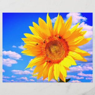 Sonnenblume mit Bienen-Flyer Flyer