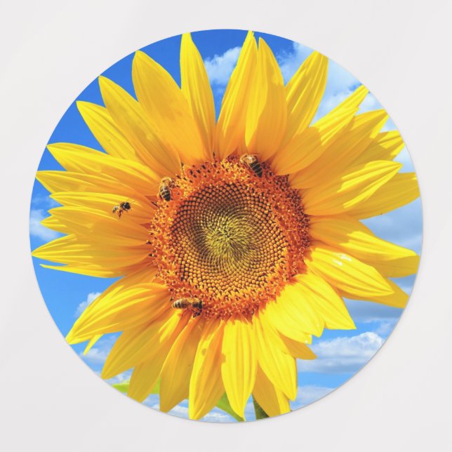 Sonnenblume mit Bienenklebern Etiketten (Design 1)