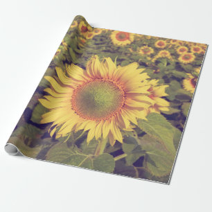 Sonnenblume mit Filtereffektretro Vintager Stiel Geschenkpapier