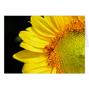 Sonnenblume mit Honigbienen-leerer Karte
