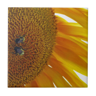 Sonnenblume mit Hummeln Fliese