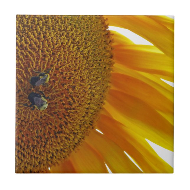 Sonnenblume mit Hummeln Fliese (Vorderseite)