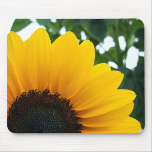 Sonnenblume Mousepad