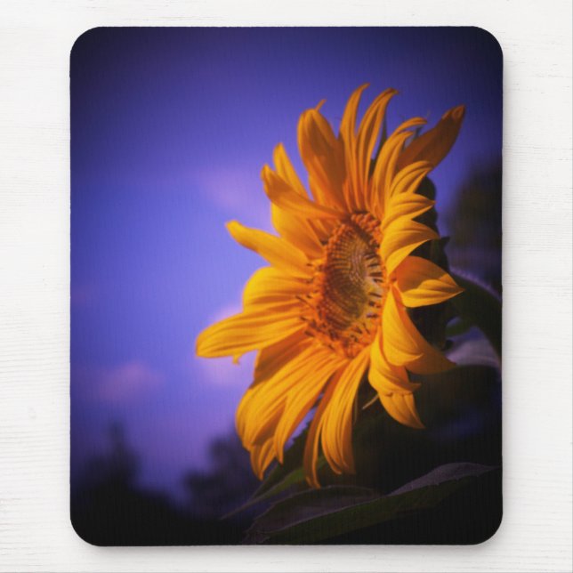 Sonnenblume Mousepad (Vorne)