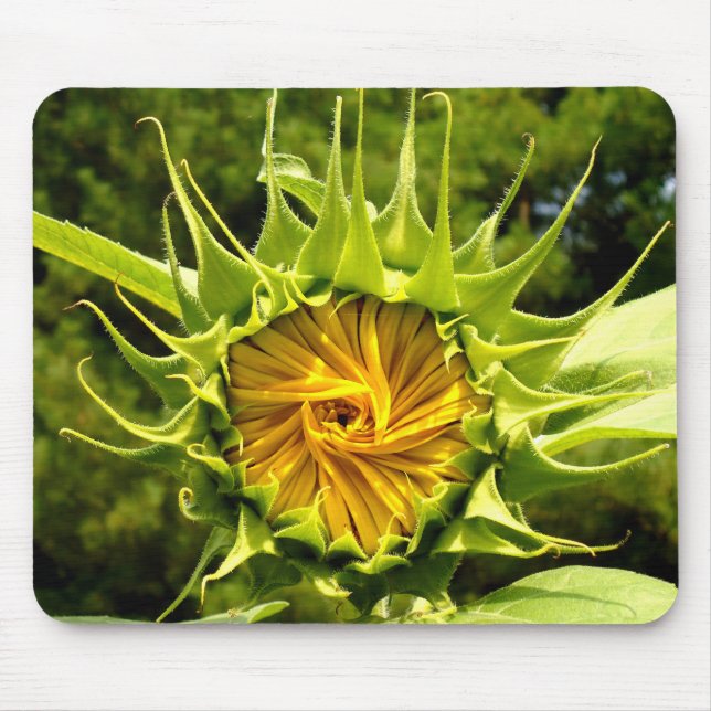 Sonnenblume Mousepad (Vorne)