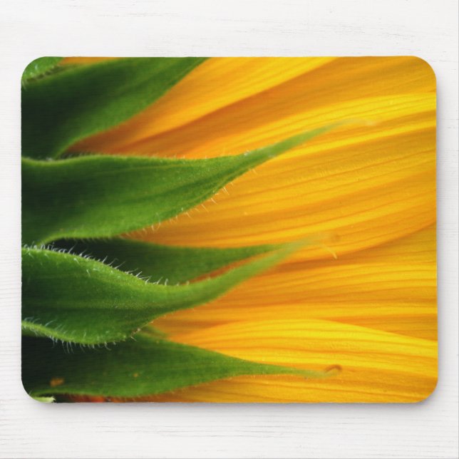 Sonnenblume Mousepad (Vorne)