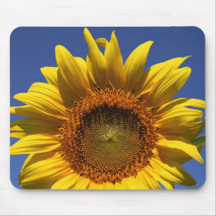 Sonnenblume Mousepad