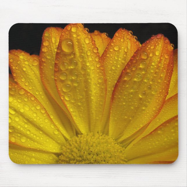 Sonnenblume Mousepad (Vorne)