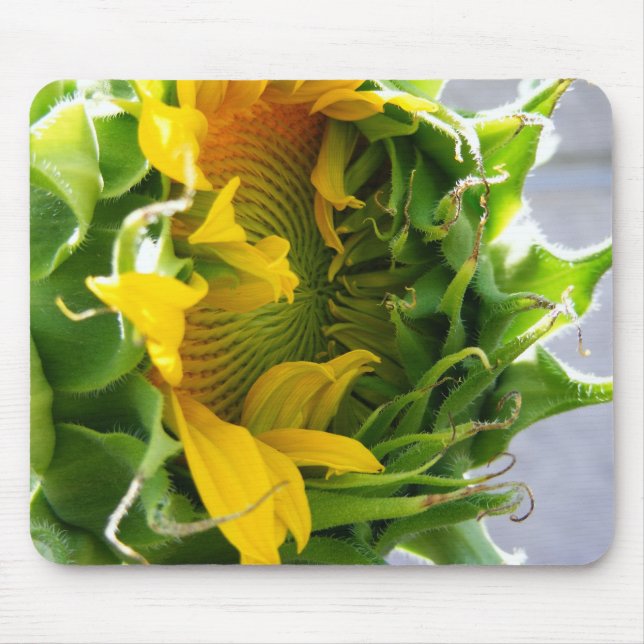 Sonnenblume Mousepad (Vorne)