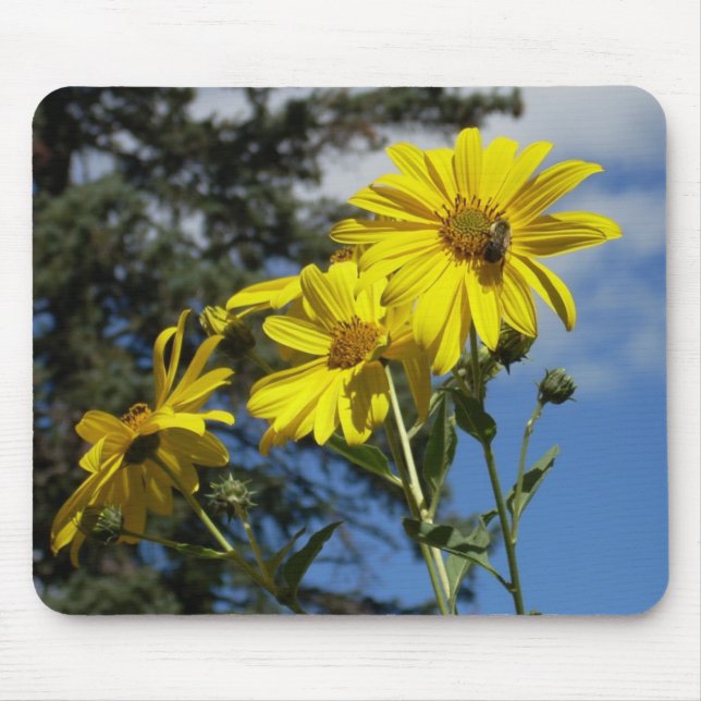 Sonnenblume Mousepad (Vorne)
