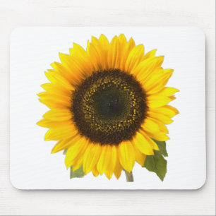 Sonnenblume Mousepad