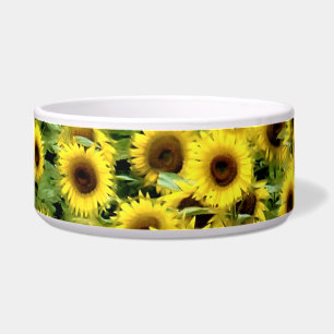 Sonnenblume Napf