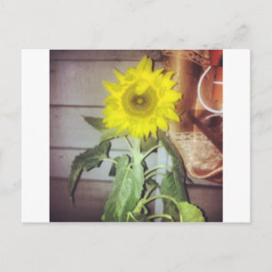 Sonnenblume neun am Nachmittag Postkarte