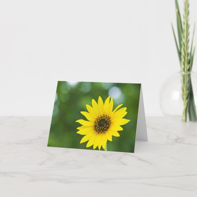 Sonnenblume Notecards Karte (Vorderseite)