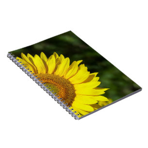 Sonnenblume Notizblock