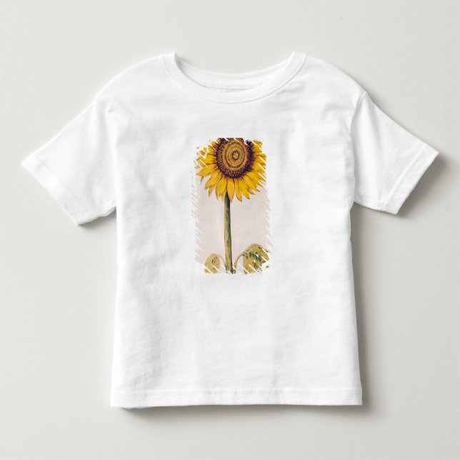 Sonnenblume oder Helianthus Kleinkind T-shirt (Vorderseite)