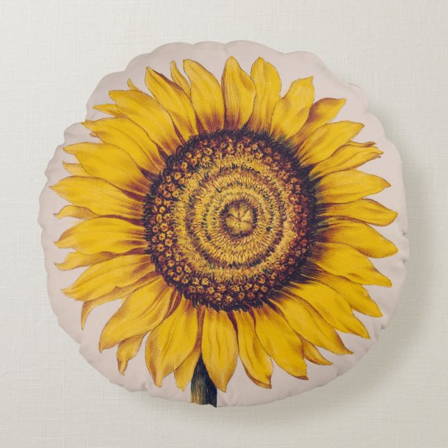 Sonnenblume oder Helianthus Rundes Kissen (Vorderseite)