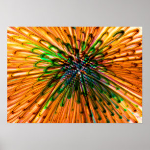 Sonnenblume Organe Poster